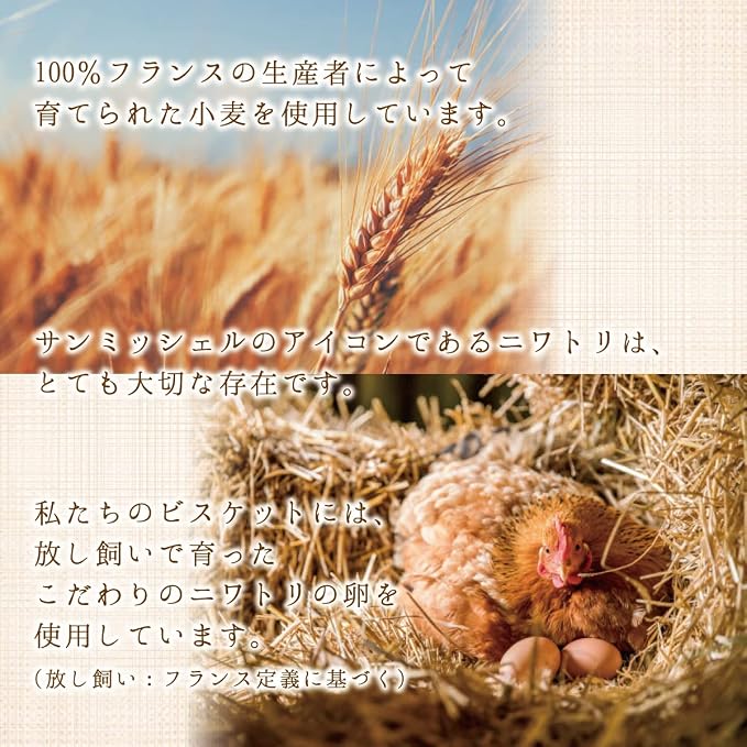サンミッシェル　パレット